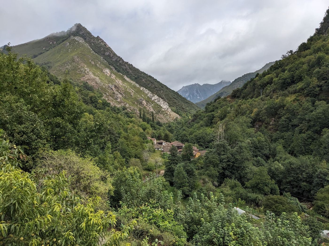 Une vallée pittoresque montrant des montagnes majestueuses et des forêts luxuriantes, créant un paysage serein et captivant